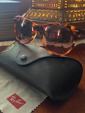 Ray Ban Evolve sunglasses